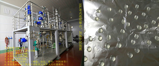 祝賀國內(nèi)首套釜式連續(xù)加氫中試成套裝置一次出料成功！.jpg